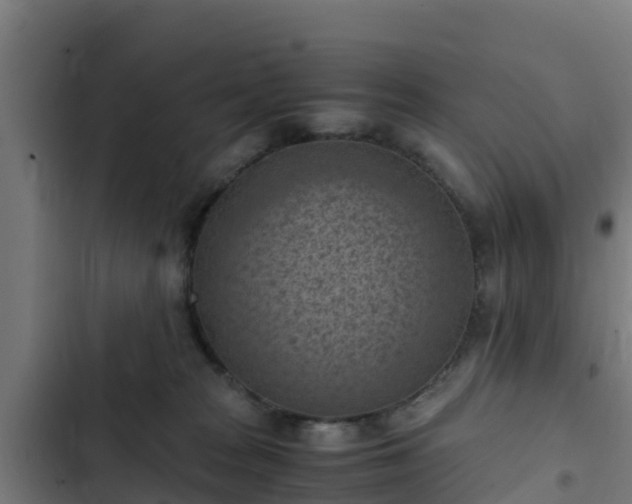 X0000103140277200808291346