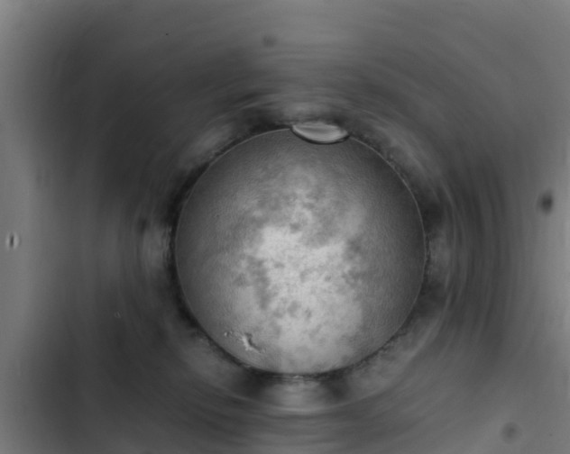 X0000103140278200808291346