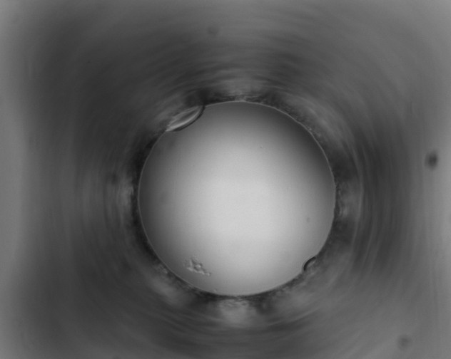 X0000103140279200808291346