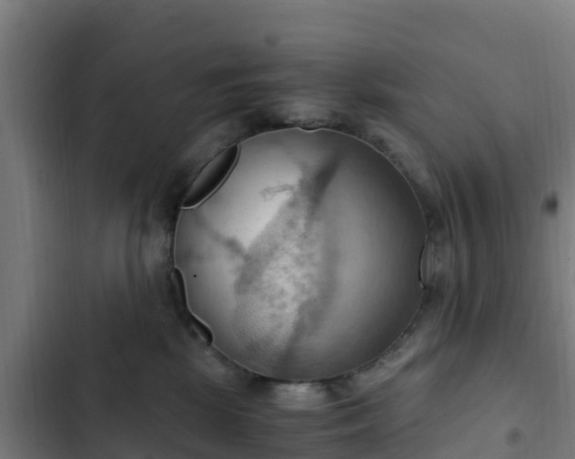 X0000103140281200808291346