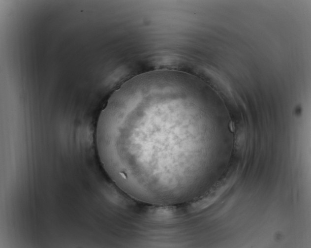 X0000103140282200808291346