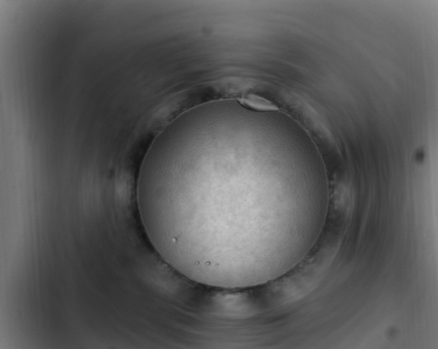 X0000103140283200808291346