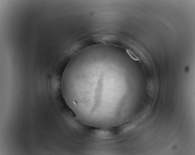 X0000103140284200808291346