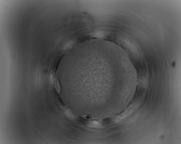 X0000103140285200808291346