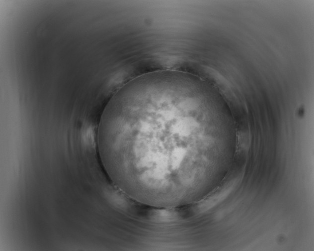 X0000103140286200808291346