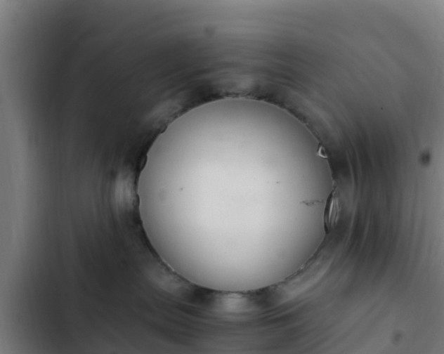 X0000103140287200808291346