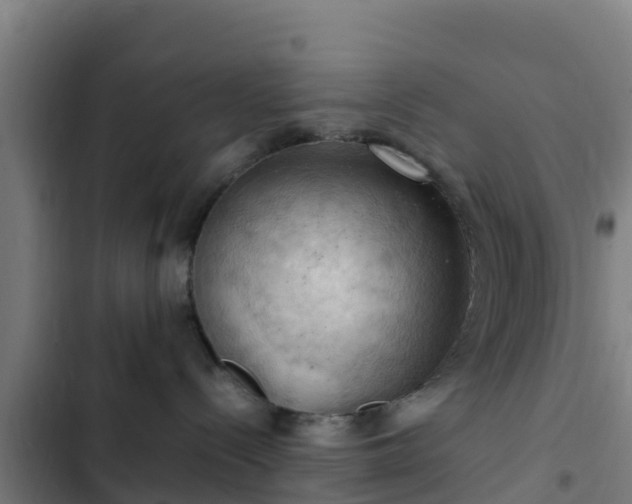 X0000103140288200808291346