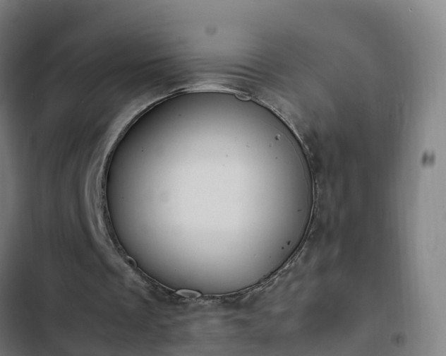 X0000103140289200808291346