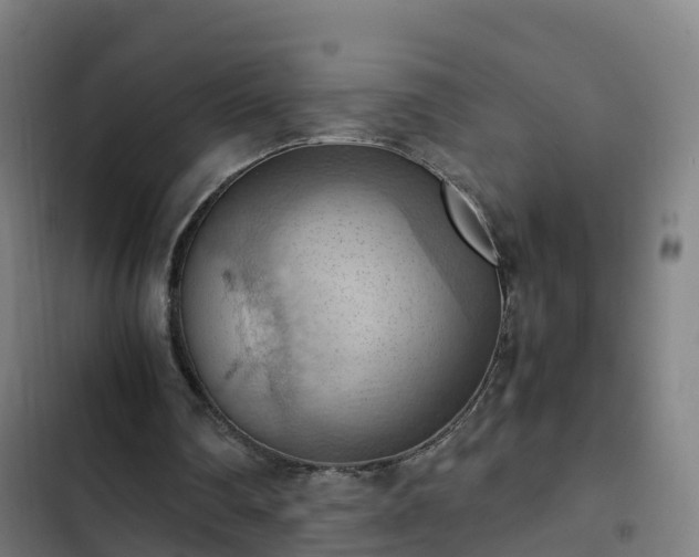 X0000103140290200808291346