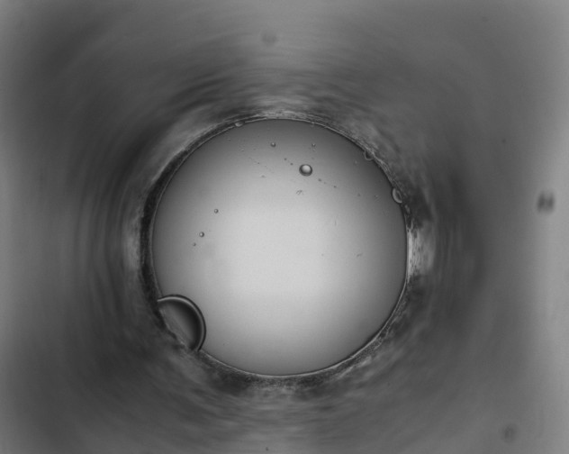 X0000103140291200808291346