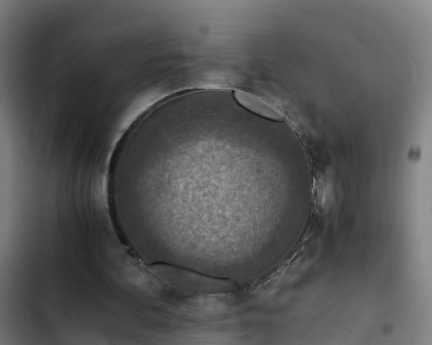 X0000103140292200808291346