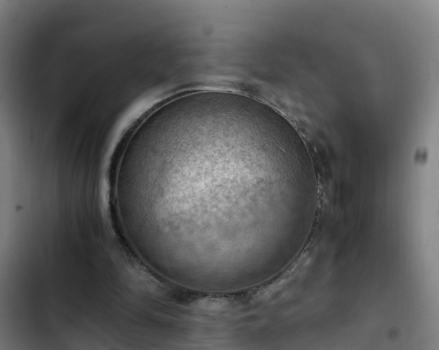 X0000103140294200808291346