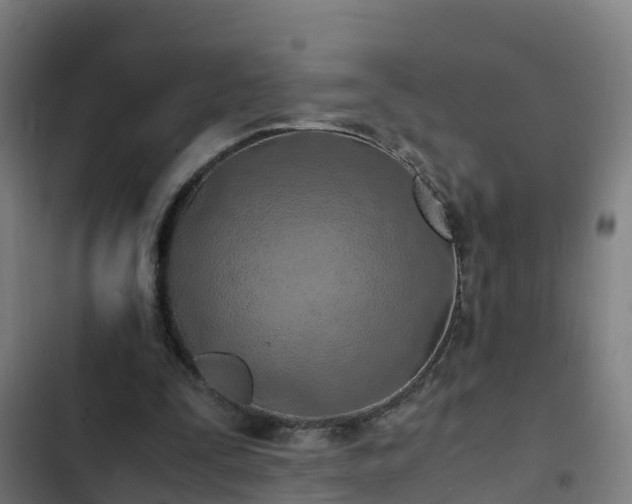 X0000103140295200808291346