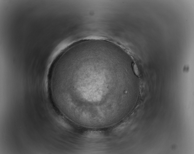 X0000103140296200808291346