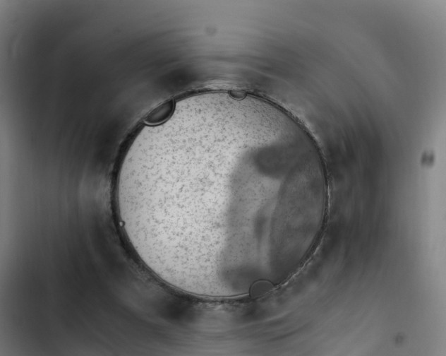 X0000103140297200808291346