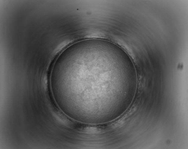 X0000103140298200808291346