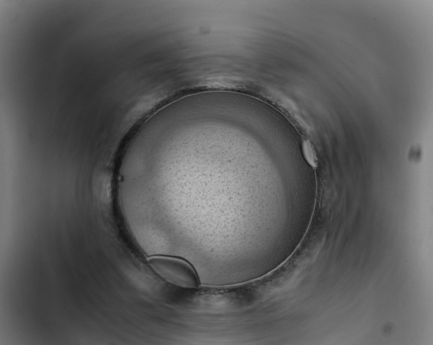 X0000103140299200808291345