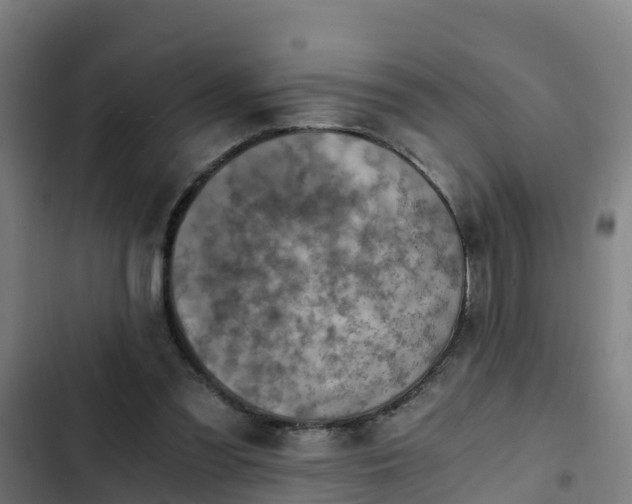 X0000103140301200808291345