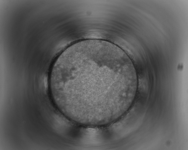 X0000103140302200808291345