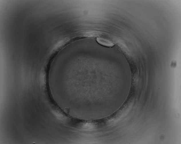 X0000103140303200808291345