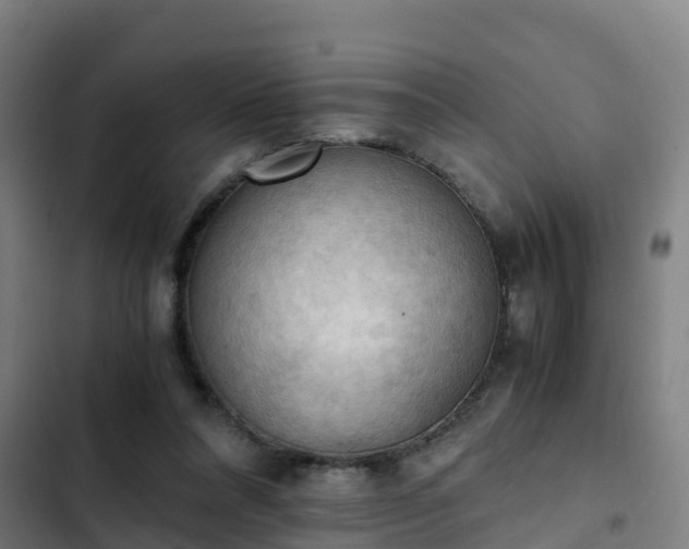 X0000103140304200808291345