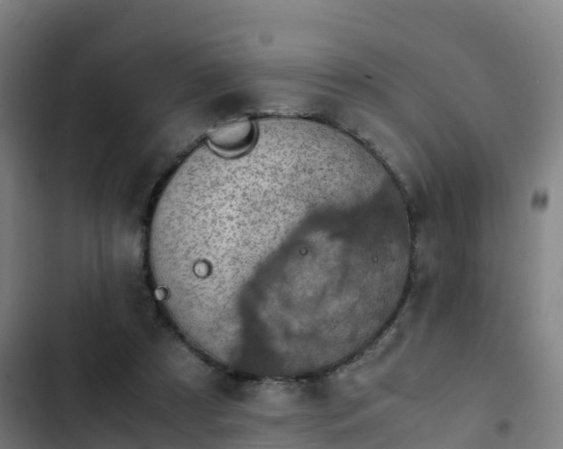 X0000103140305200808291345