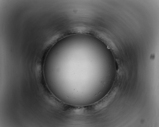 X0000103140306200808291345