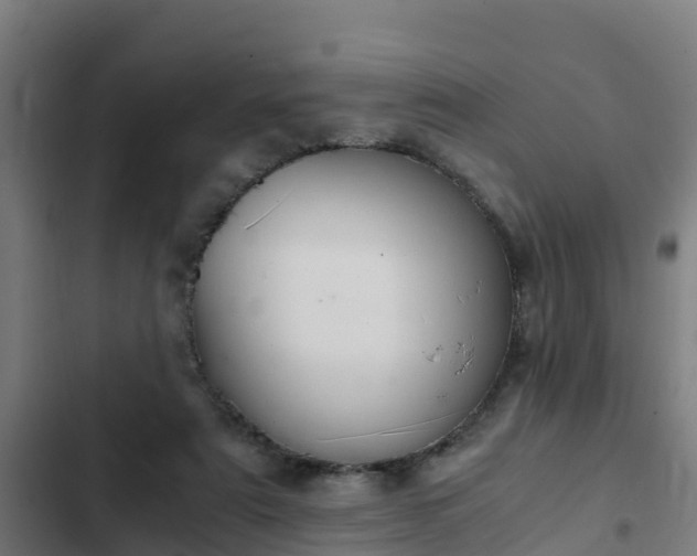 X0000103140307200808291345