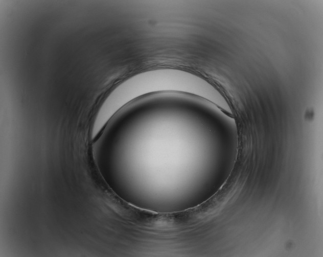 X0000103140308200808291345