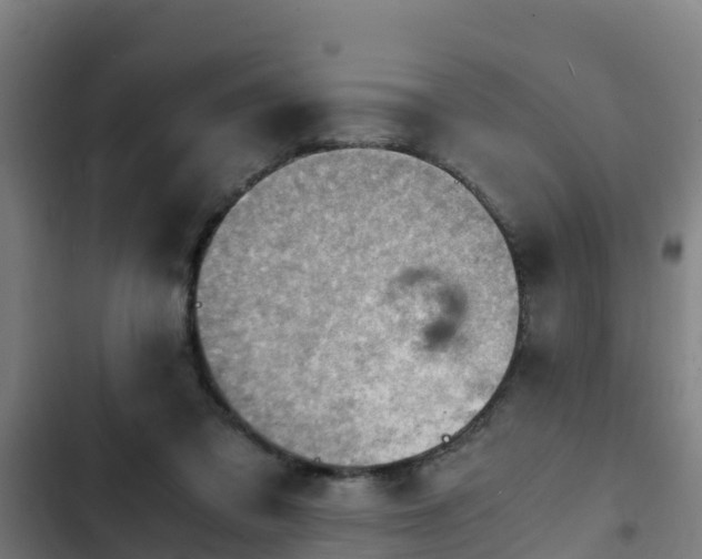 X0000103140309200808291345