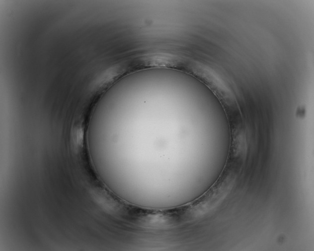 X0000103140310200808291345