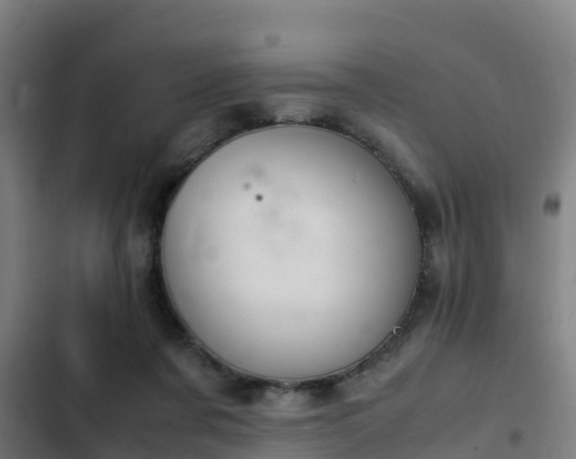 X0000103140311200808291345