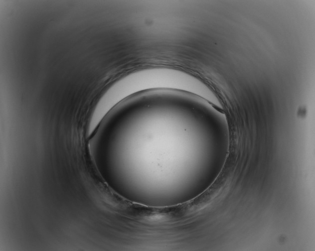 X0000103140312200808291345