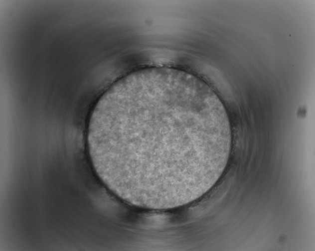 X0000103140313200808291345