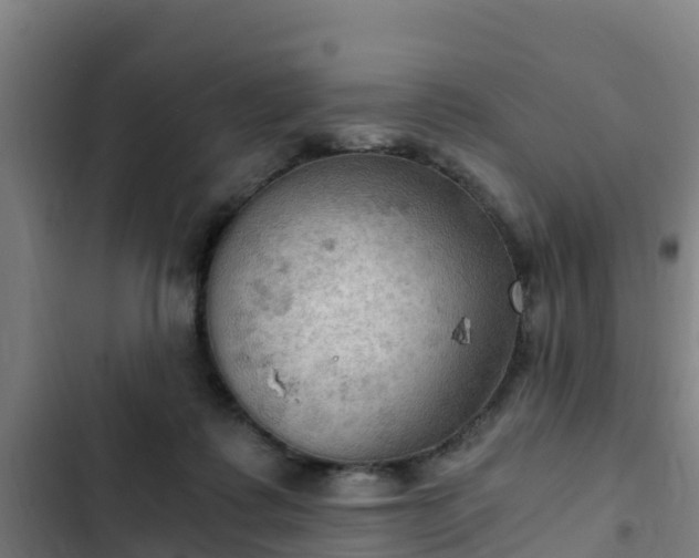 X0000103140315200808291345