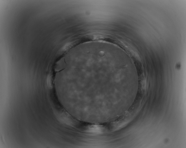 X0000103140316200808291345