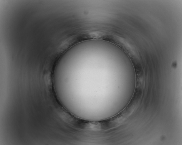 X0000103140317200808291345