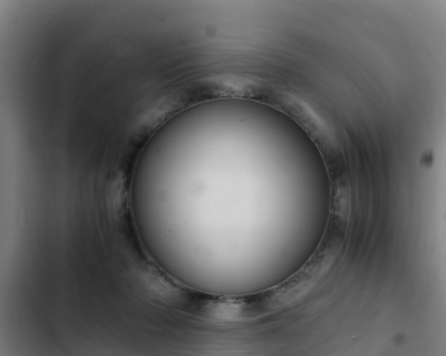 X0000103140318200808291345