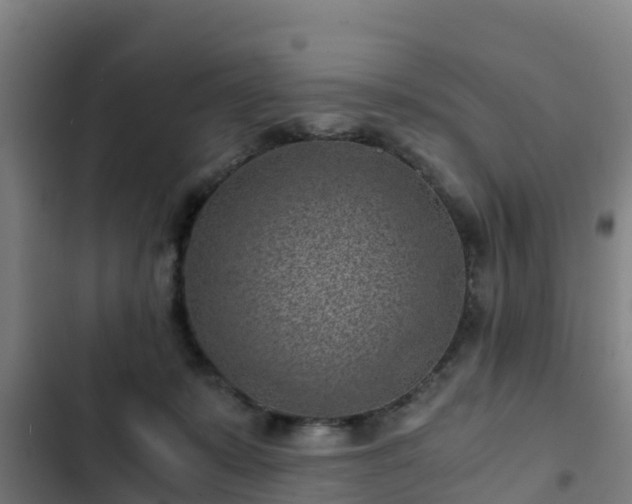 X0000103140319200808291345