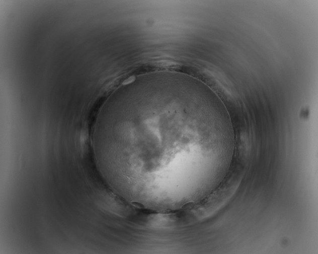 X0000103140320200808291345