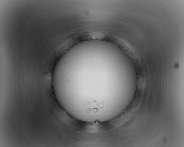 X0000103140321200808291345