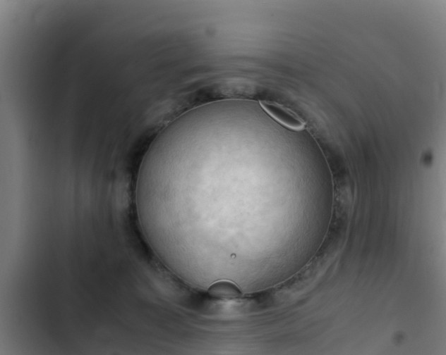 X0000103140323200808291345