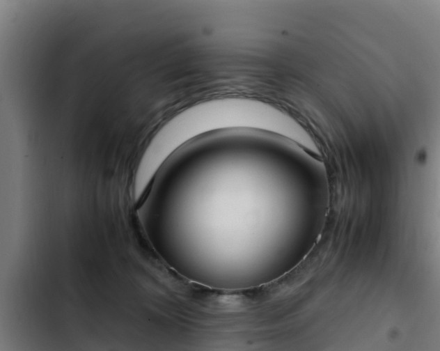 X0000103140324200808291345