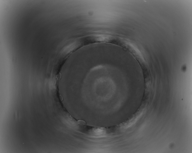 X0000103140325200808291345