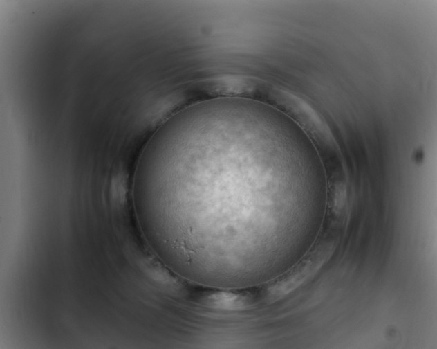 X0000103140326200808291345