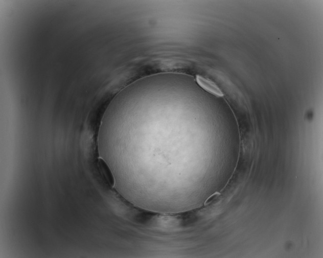 X0000103140327200808291345