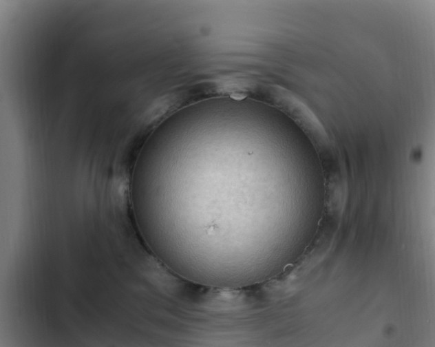 X0000103140329200808291345