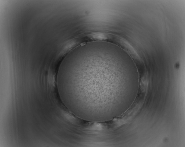 X0000103140330200808291345