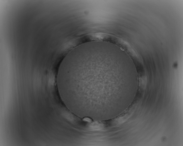 X0000103140331200808291345