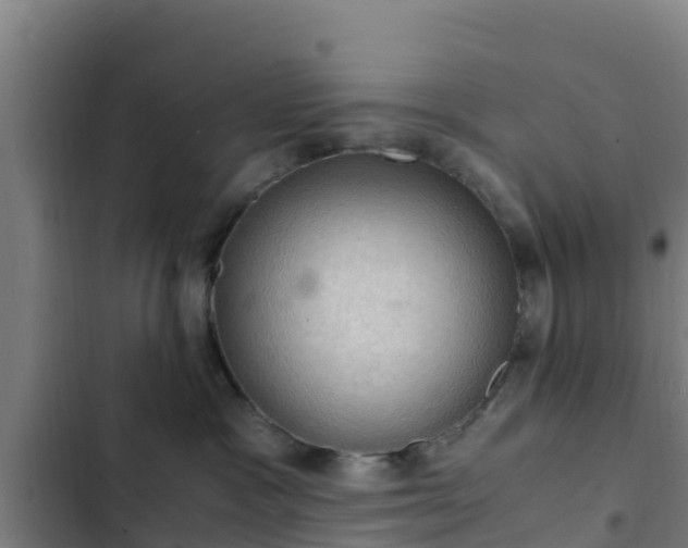 X0000103140333200808291345